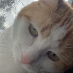 Meet your Posher, Bridgette